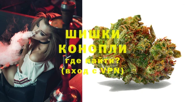 spice Коряжма